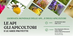 Il 20 maggio la Giornata mondiale delle api a Pescasseroli